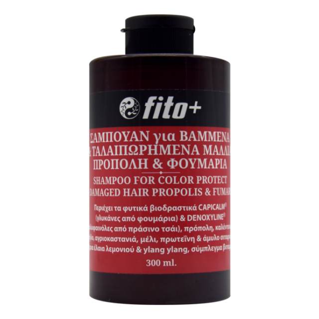 fito sampouan bammena