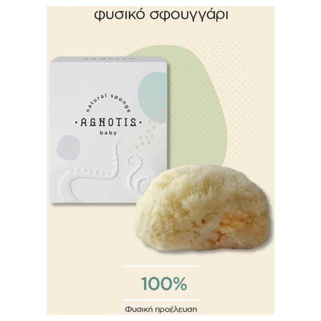 agnotis sponge