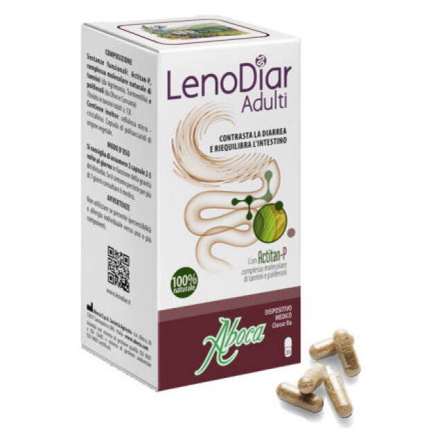 lenodiar adult