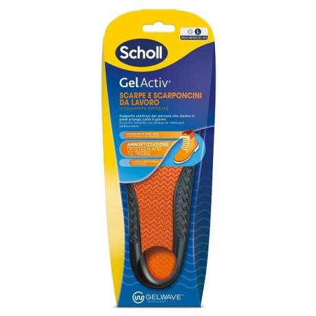 SCHOLL