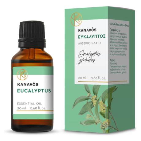 Kanavos Ευκάλυπτος