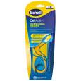 scholl