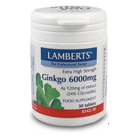 Lamberts Ginkgo