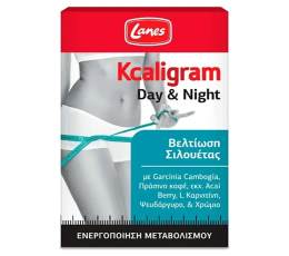 day night